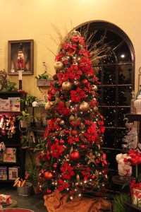 Christmas Tree at Elizabethan Gardens