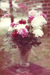 A vase of multi colored roses